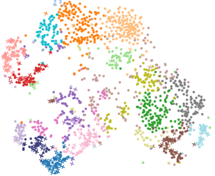 cell embeddings